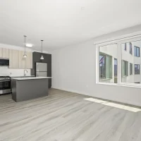 X11 2 Bed – 2 Bath – Apartment: #411 – Inspire 2Bed 2Bath West Town Chicago Apartment Rentals